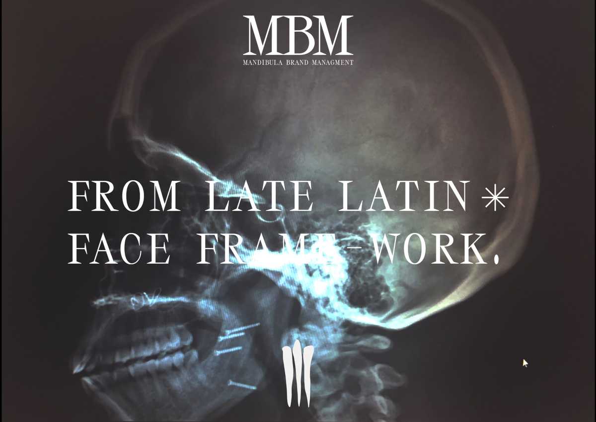 Mandibula Project image