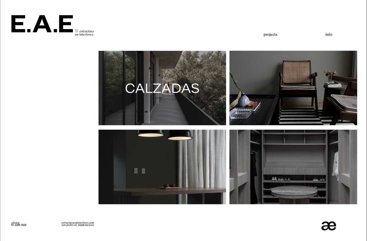 EAE Project image